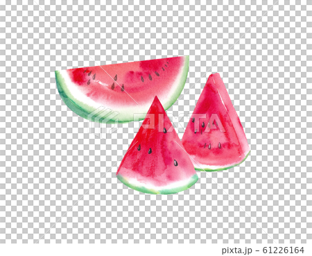 Summer ingredients: watermelon watercolor illustration trace vector Summer ingredients: watermelon watercolor illustration trace vector 61226164