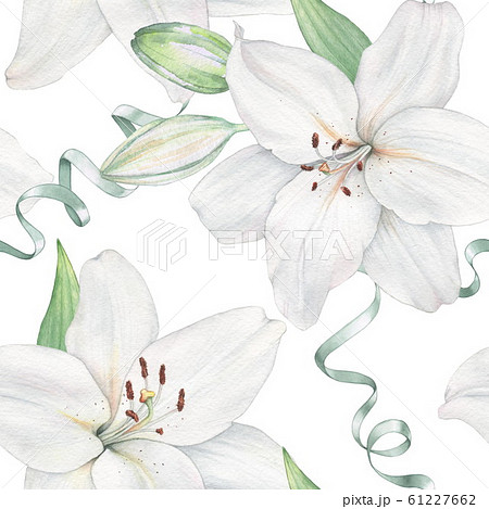 White lily. Watercolor painting. Seamless pattern. Decorative element suitable for Wallpaper White lily. Watercolor painting. Seamless pattern. Decorative element suitable for Wallpaper 61227662