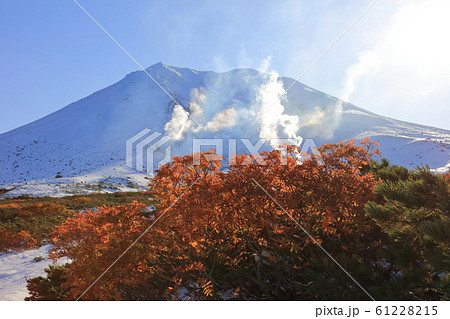 雪と紅葉_噴煙の大雪山_旭岳 雪と紅葉_噴煙の大雪山_旭岳 61228215