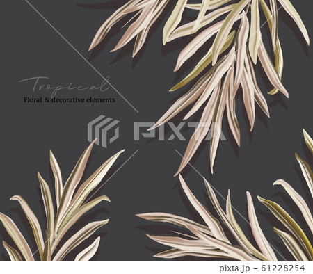 Greenery greeting palm invitation card template design, foliage leaves hand drawn doodle graphics on Greenery greeting palm invitation card template design, foliage leaves hand drawn doodle graphics on 61228254