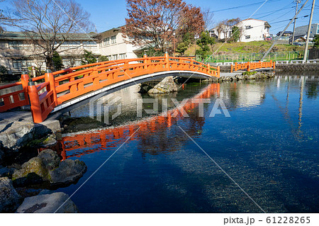 湧玉池 <富士山本宮浅間大社 静岡県富士宮市> 湧玉池 <富士山本宮浅間大社 静岡県富士宮市> 61228265