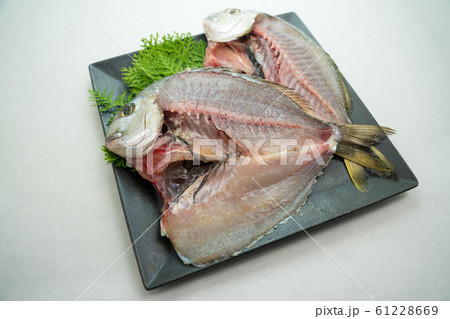 ヘダイの開き ヘダイの開き 61228669