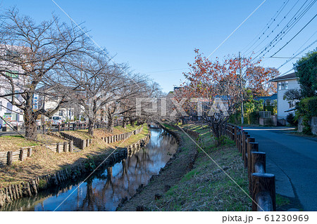 新河岸川 船着場付近 川越市 新河岸川 船着場付近 川越市 61230969