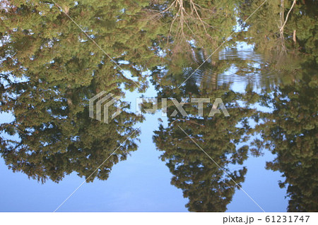 水面に映った世界 61231747