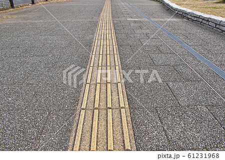 歩道の点字ブロック 61231968