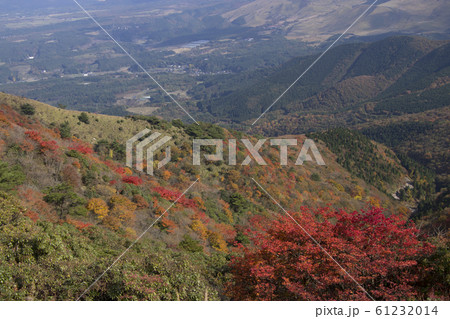 涌蓋山より大分方面と紅葉 61232014