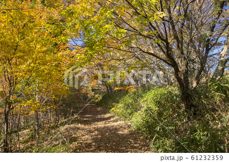 涌蓋山登山道 61232359