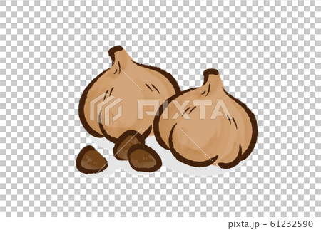 黒にんにく 61232590