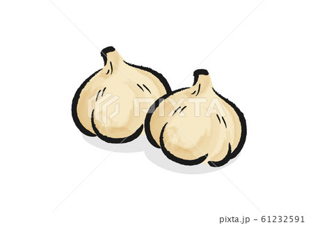 にんにくのイラスト素材
