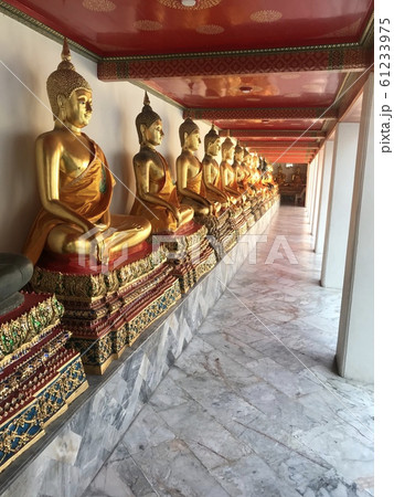 ワットポー 61233975