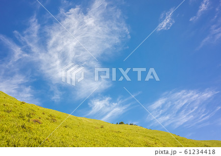 green grassland under blue sky green grassland under blue sky 61234418