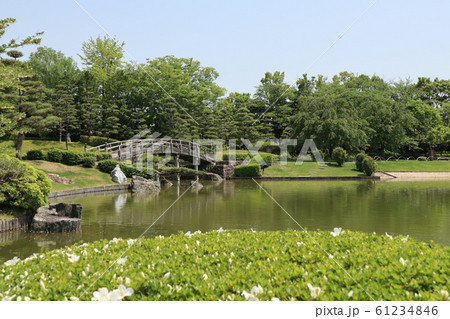 越谷市花田苑・花田第六公園の風景 61234846