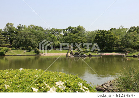 越谷市花田苑 花田第六公園の風景の写真素材