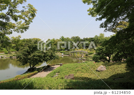 越谷市花田苑・花田第六公園の風景 越谷市花田苑・花田第六公園の風景 61234850