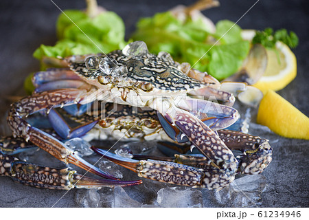 Raw crab on ice with spices lemon and salad 61234946