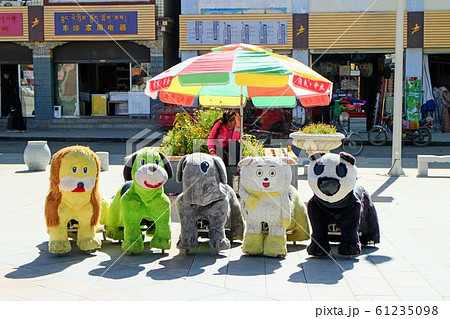 中国のパンダカー 中国のパンダカー 61235098