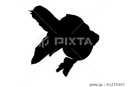 動物シルエットペットキンギョ2 61235407