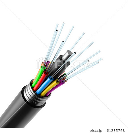 Optic Fiber Cable 61235768