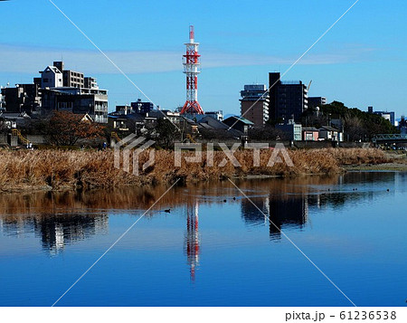 冬の鏡川（『竜とそばかすの姫の舞台』近く） 61236538