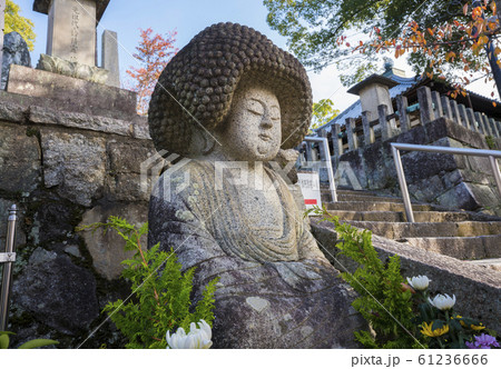 京都　金戒光明寺の五劫思惟阿弥陀仏（ごこうしゅいあみだぶつ） 61236666