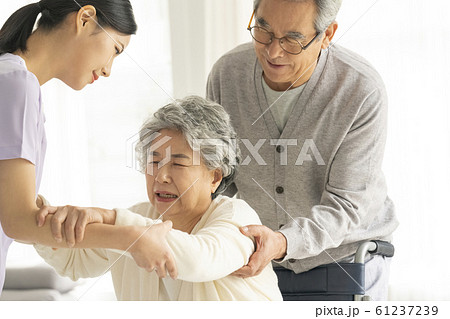 韓国人 高齢者 老人 61237239