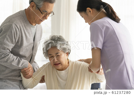 韓国人 女性 女 61237280