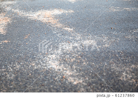 Salt spilled on the pavement. Winter season Salt spilled on the pavement. Winter season 61237860