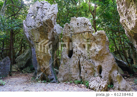 沖縄県・大石林山 沖縄県・大石林山 61238462