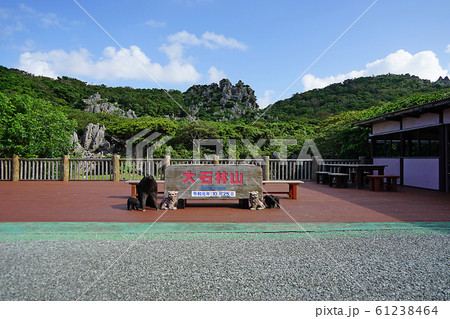 沖縄県・大石林山 61238464