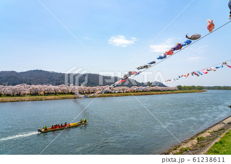 北上展勝地さくらまつり 満開の桜 春 観光遊覧船 観光名所 自然 青空 晴れ カラフル 東北地方 北上展勝地さくらまつり 満開の桜 春 観光遊覧船 観光名所 自然 青空 晴れ カラフル 東北地方 61238611