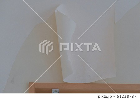interior finish work 壁紙工事 interior finish work 壁紙工事 61238737