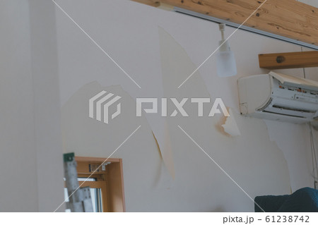 interior finish work　壁紙工事 61238742