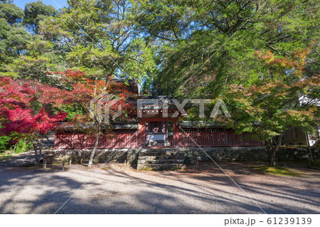 京都 神護寺の紅葉 京都 神護寺の紅葉 61239139