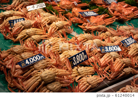 香箱蟹　金沢の冬の味覚 61240014