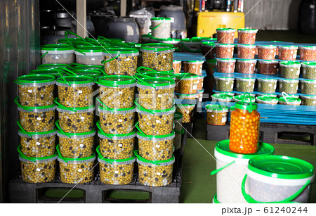 Stacked plastic buckets with pickled olives Stacked plastic buckets with pickled olives 61240244