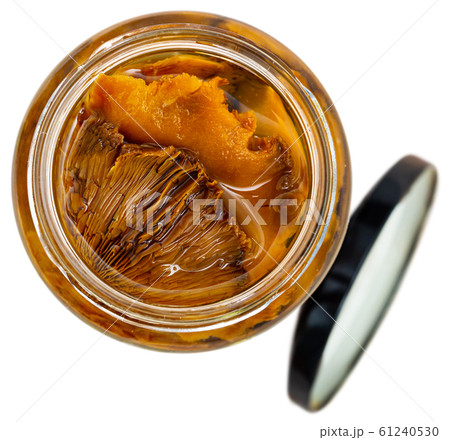 Marinated mushrooms lactarius deliciosus Marinated mushrooms lactarius deliciosus 61240530