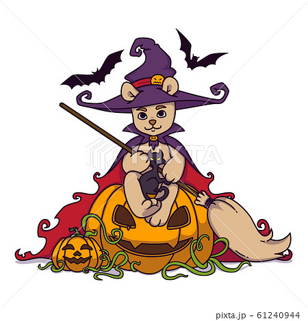 Teddy Bear In A Witch Hat And Mantle With A Broomのイラスト素材