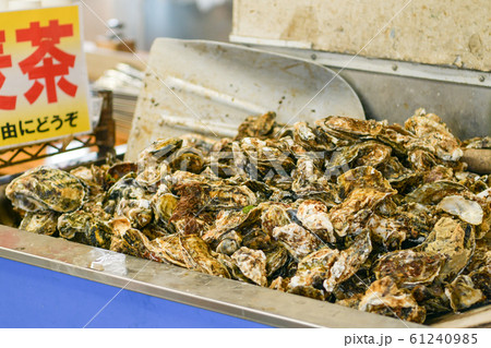 牡蠣　牡蠣小屋　カキ 61240985