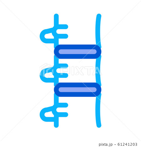 Human Spine Icon Vector Outline Illustration Human Spine Icon Vector Outline Illustration 61241203
