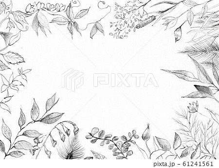 ボタニカル フレーム 植物 枠 モノクロのイラスト素材 61241561 Pixta