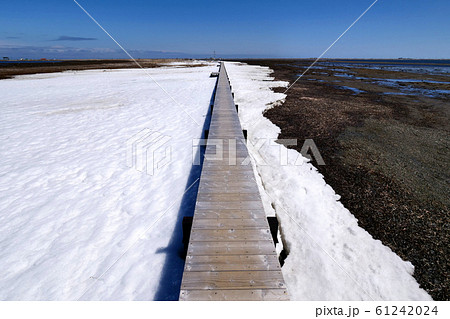 北海道 野付半島 トドワラ 北海道 野付半島 トドワラ 61242024