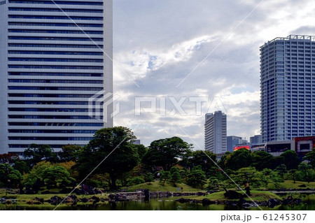 都市庭園の夕景 61245307