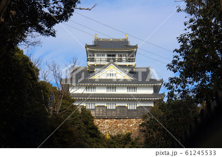 岐阜城 61245533