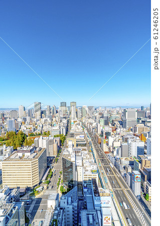 大阪 都市景観 肥後橋方面 大阪 都市景観 肥後橋方面 61246205
