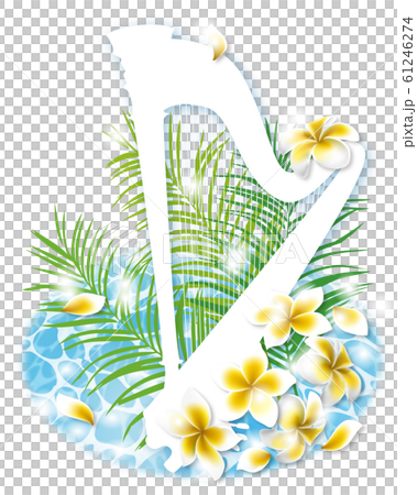 夏と楽器グランドハープ 水面とプルメリアの花 夏と楽器グランドハープ 水面とプルメリアの花 61246274