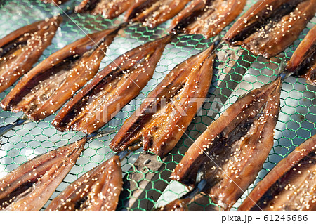 サンマのみりん干し サンマのみりん干し 61246686