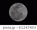 満月　ウルフムーン（暗め） 61247403