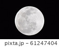 満月　ウルフムーン（明るめ） 61247404