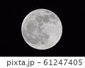 満月　コールドムーン 61247405