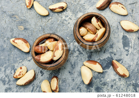 Brazil nut or Bertholletia 61248018